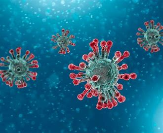 COVID-19 virus