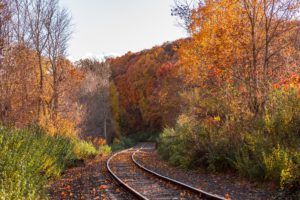 Railroad tracks and foliage in Amherst, MA
